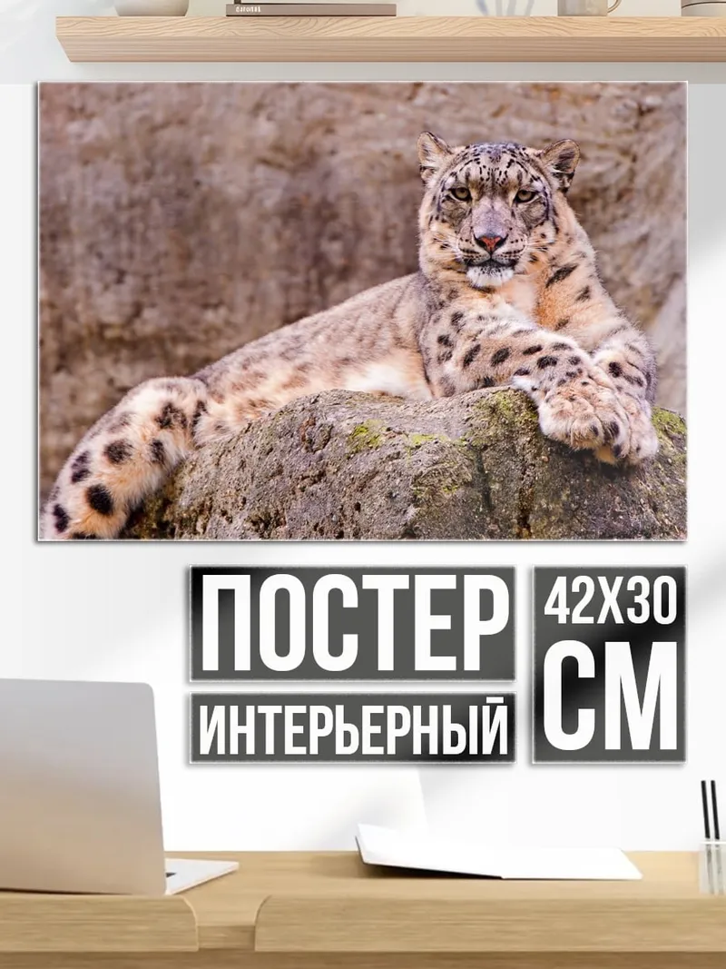 Постер Леопард на камнях