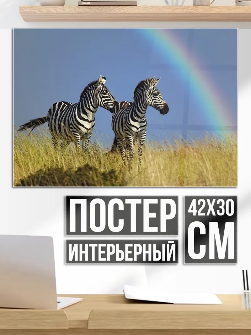 Постер Зебры и радуга
