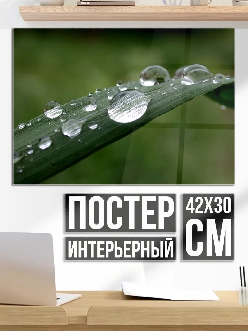 Постер Капли на траве