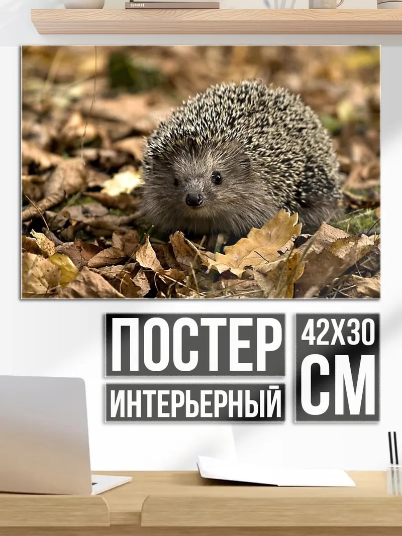 Постер Ёжик в листьях