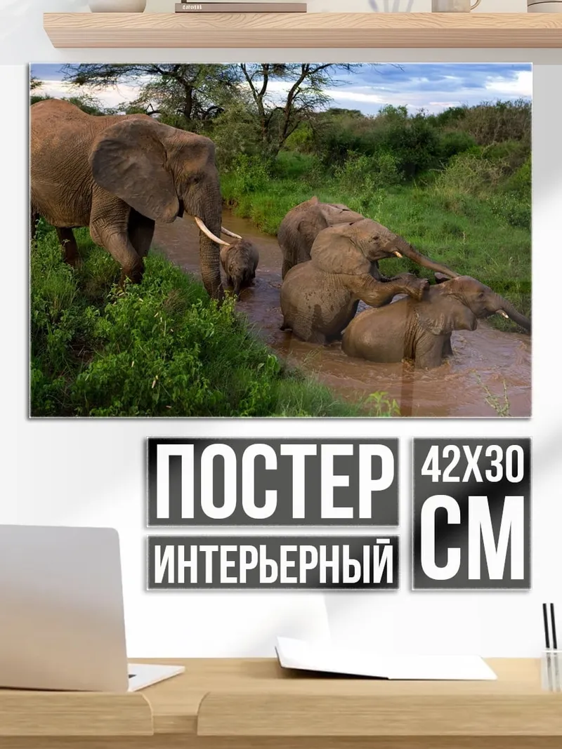 Постер Слоны в реке