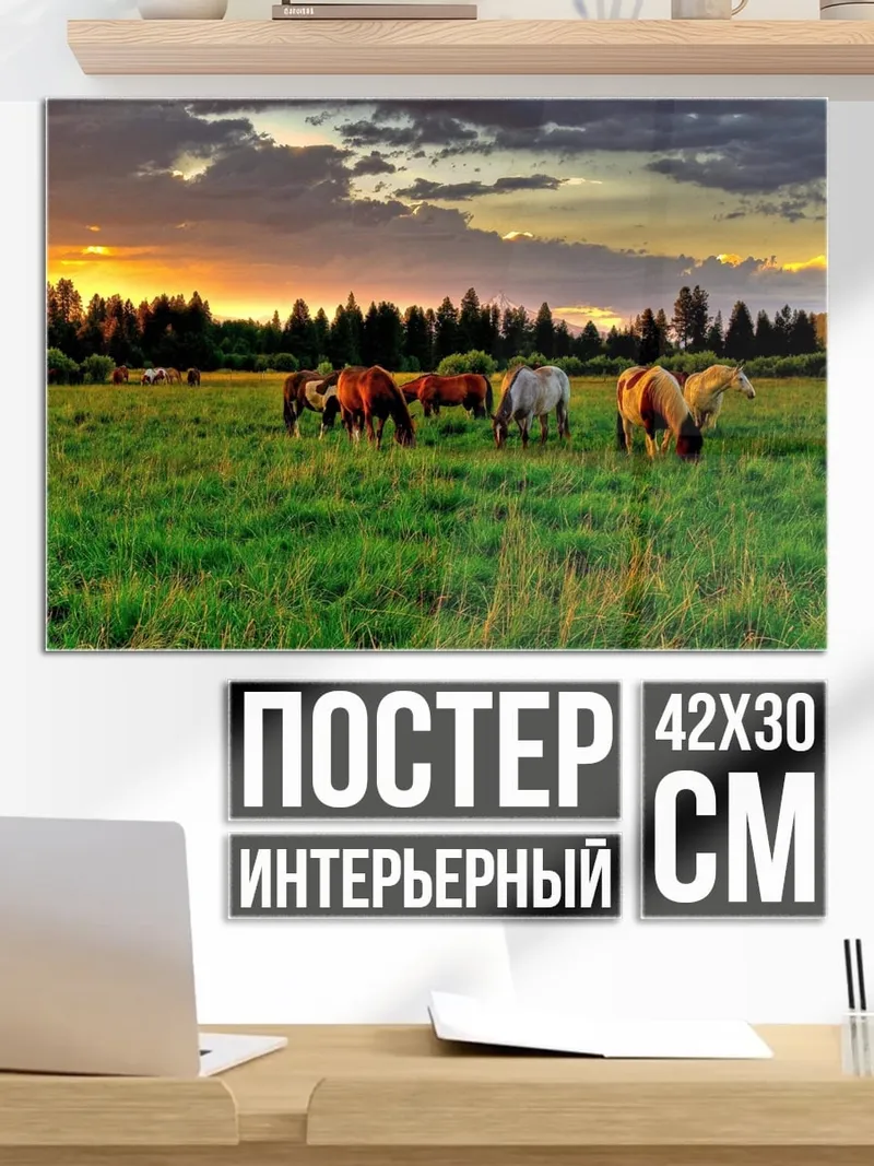Постер Лошади на закате