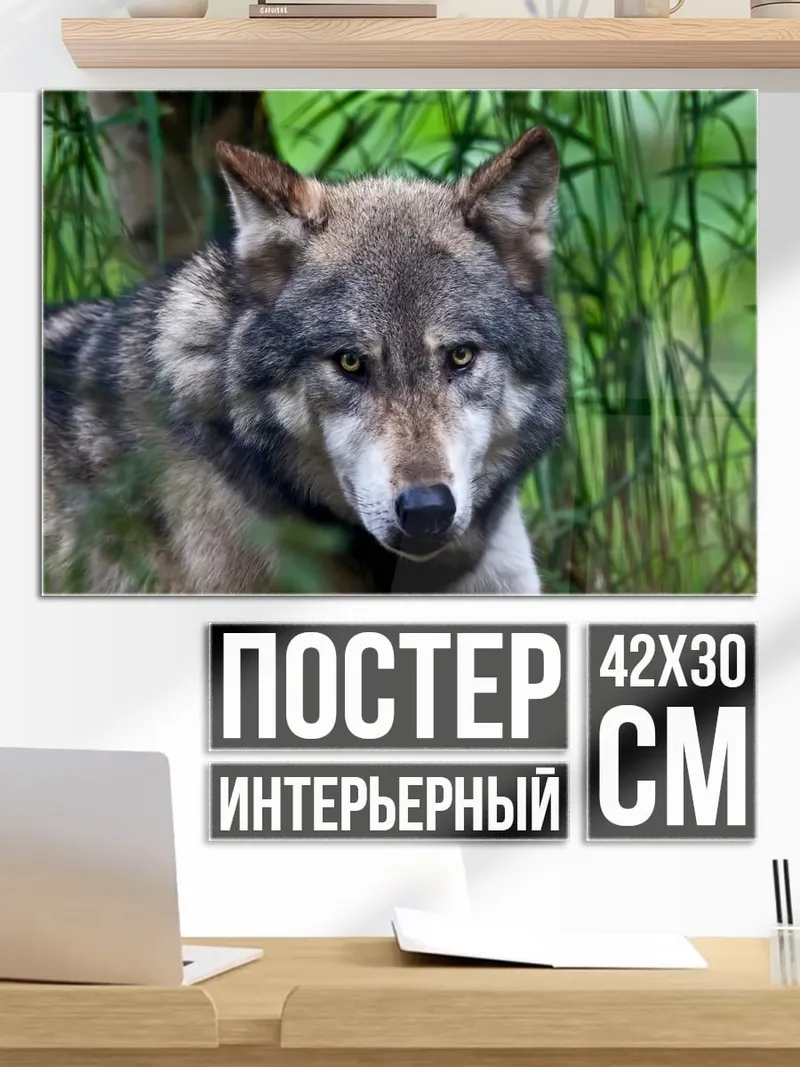 Постер Волк в лесу