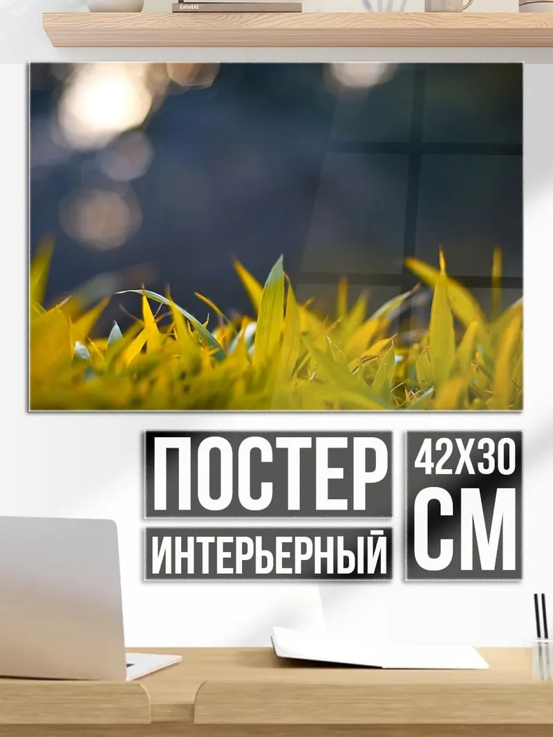 Постер Трава на рассвете