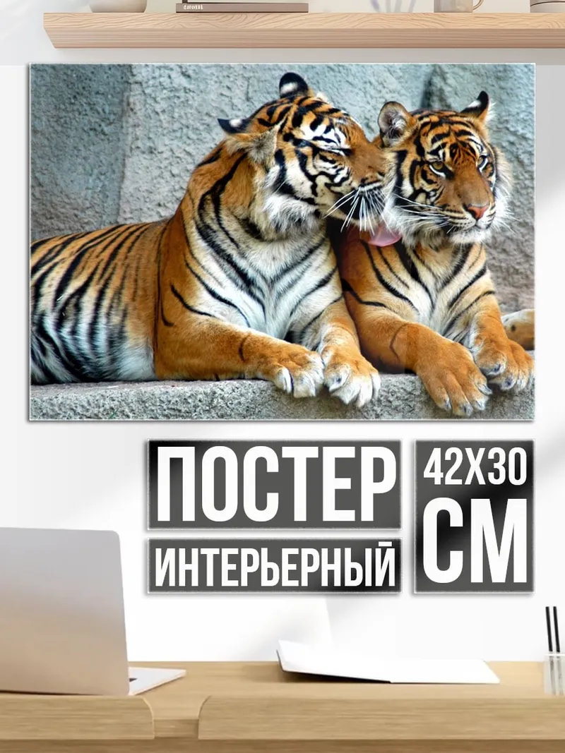 Постер Два тигра
