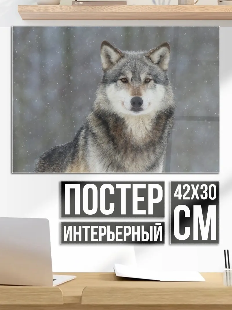 Постер Зимний волк