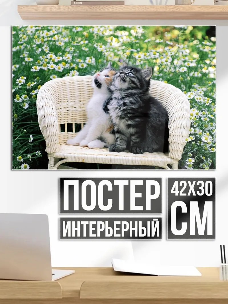 Постер Два котенка на стуле