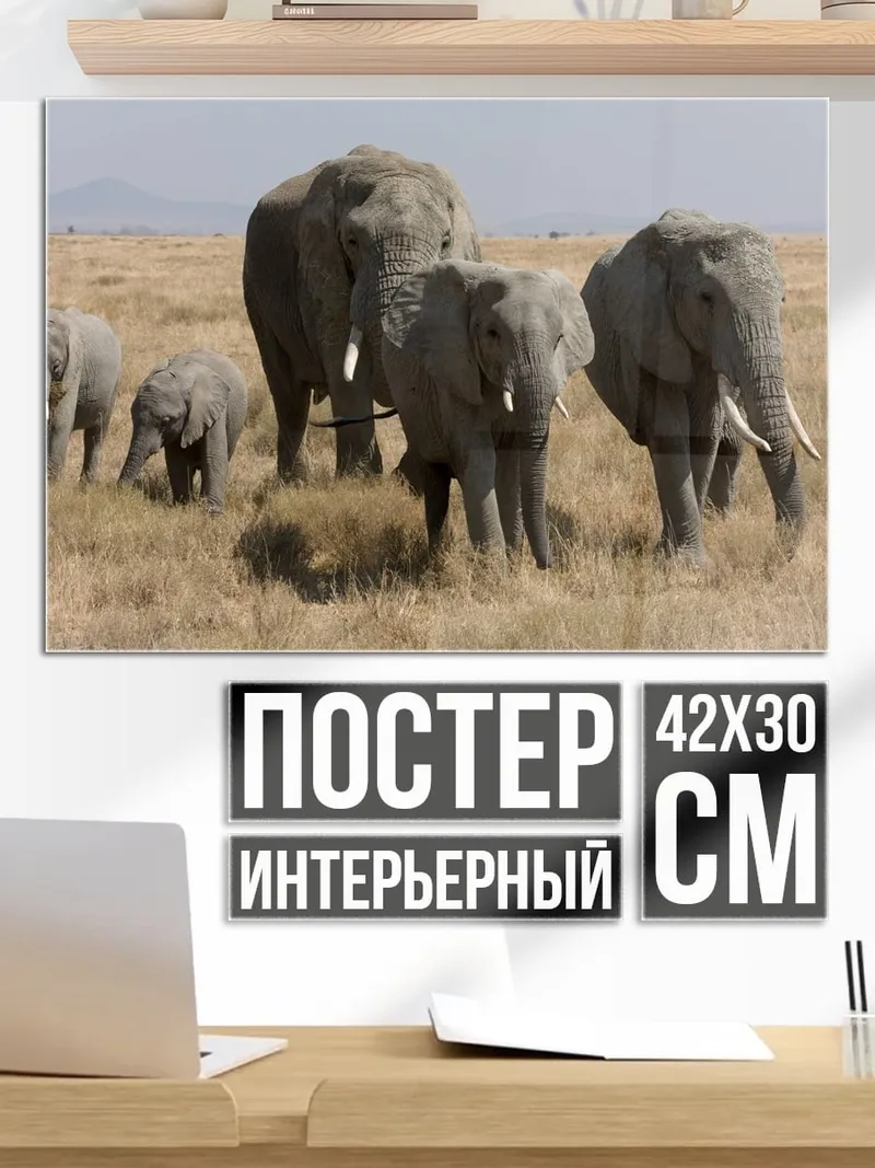 Постер Семья слонов