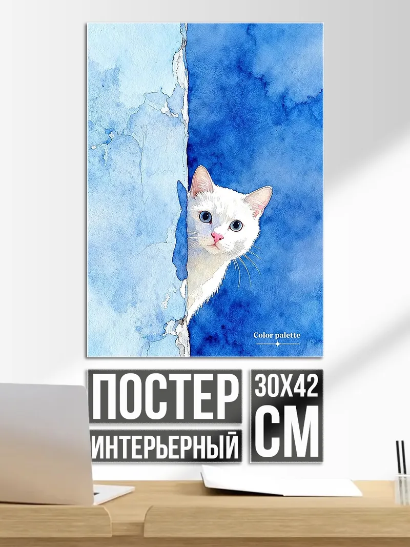 Постер Белый кот в синем