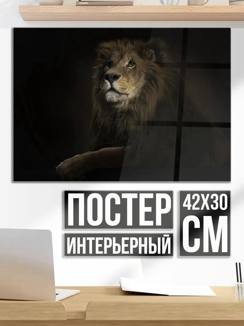 Постер лев в темноте