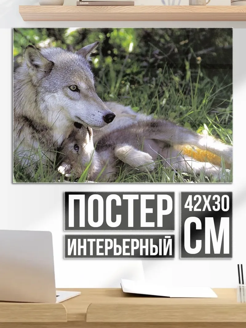 Постер волк с детенышем