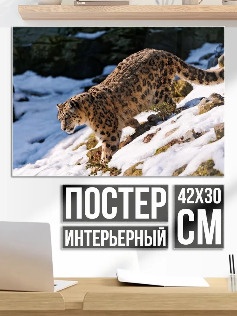 Постер Снежный барс