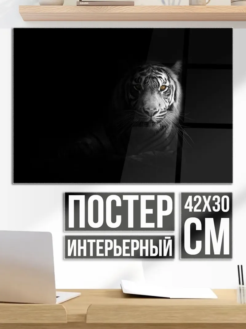 Постер Белый тигр