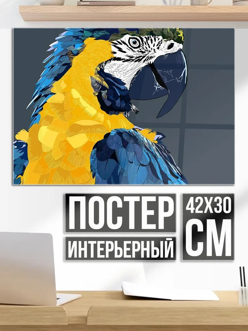 Постер Сине-жёлтый попугай