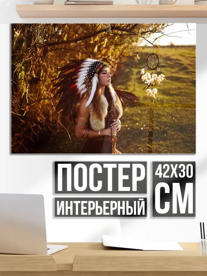 Постер индианка с пером