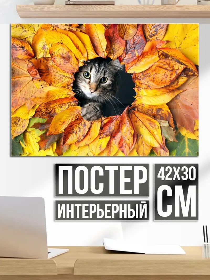 Постер кот в осенних листьях