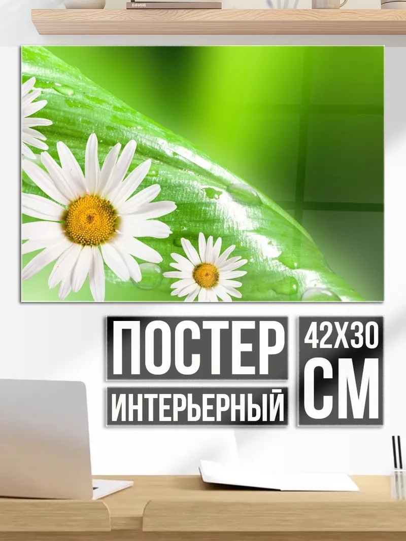 Постер Роса на лепестках