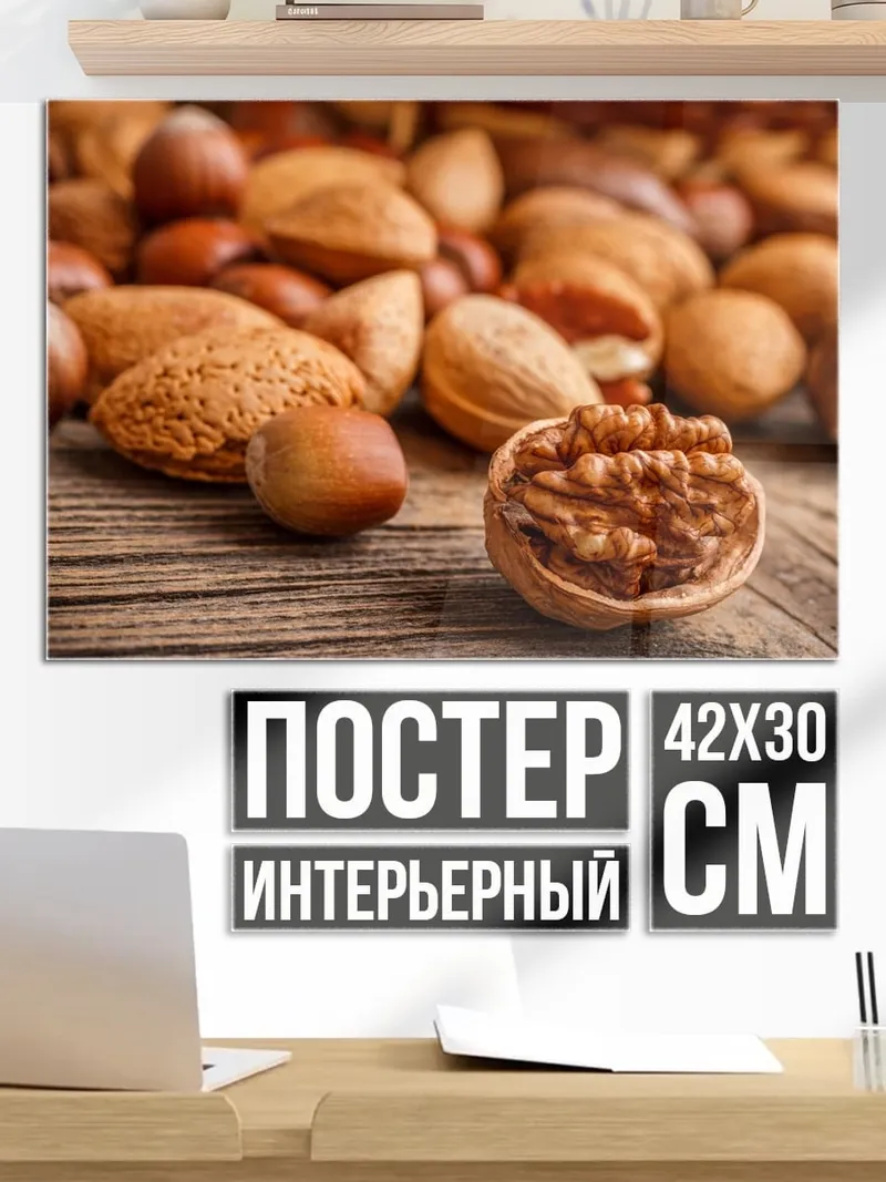 Постер Разнообразие орехов