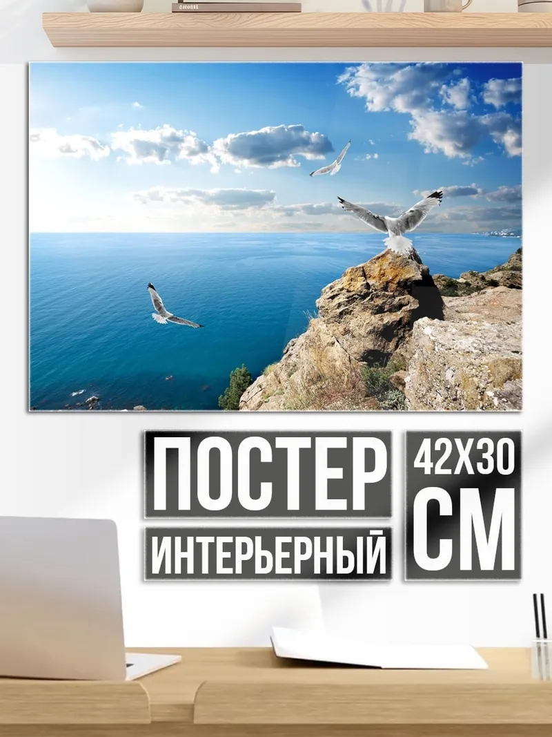 Постер чайки над морем