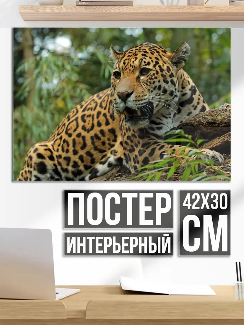 Постер ягуар в джунглях