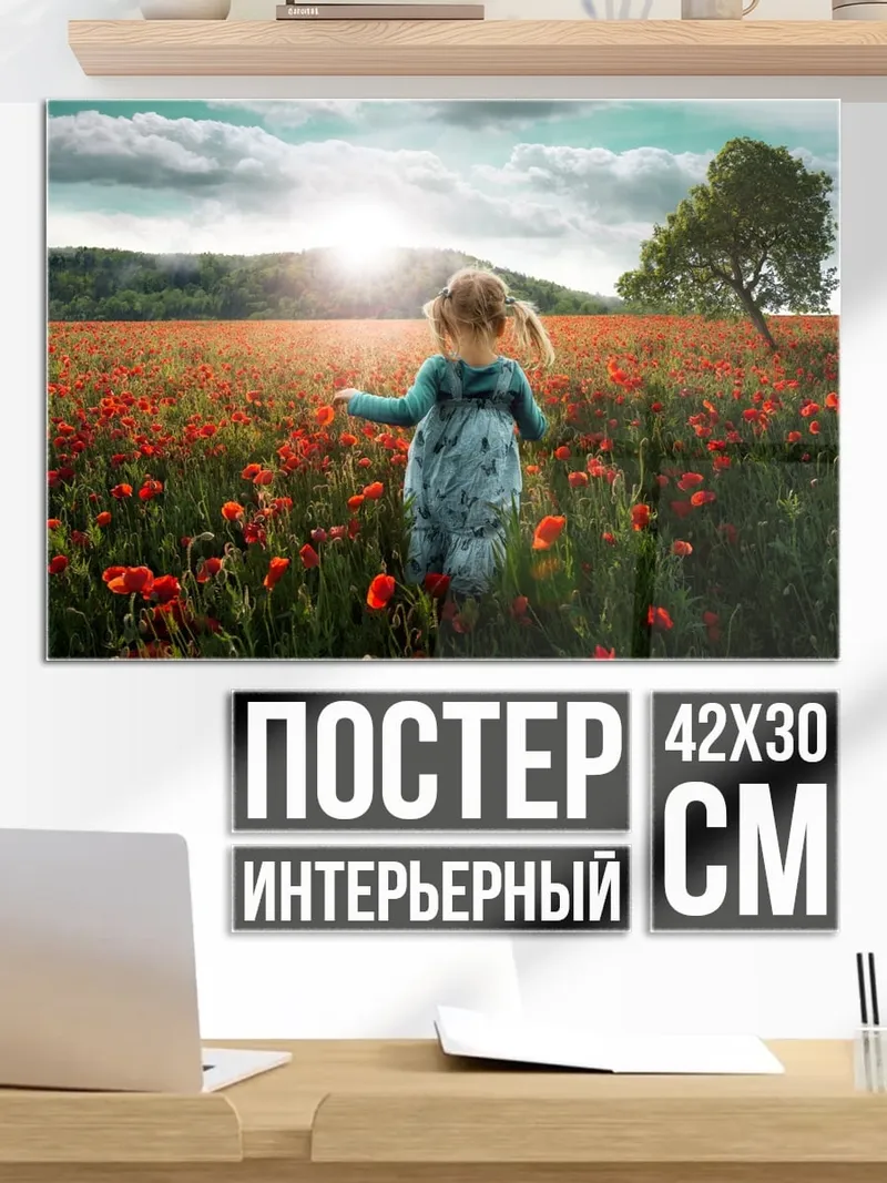Постер девочка в поле