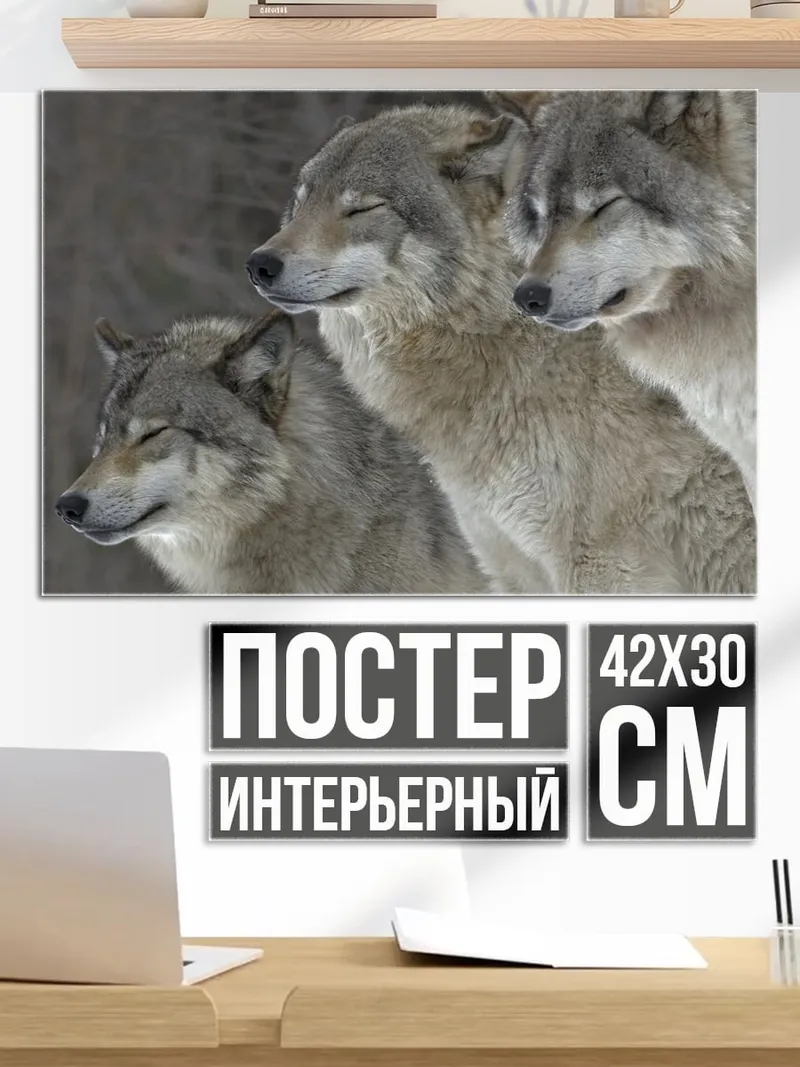 Постер стая волков