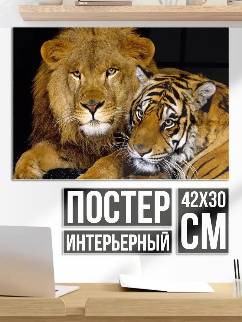 Постер Лев и тигр