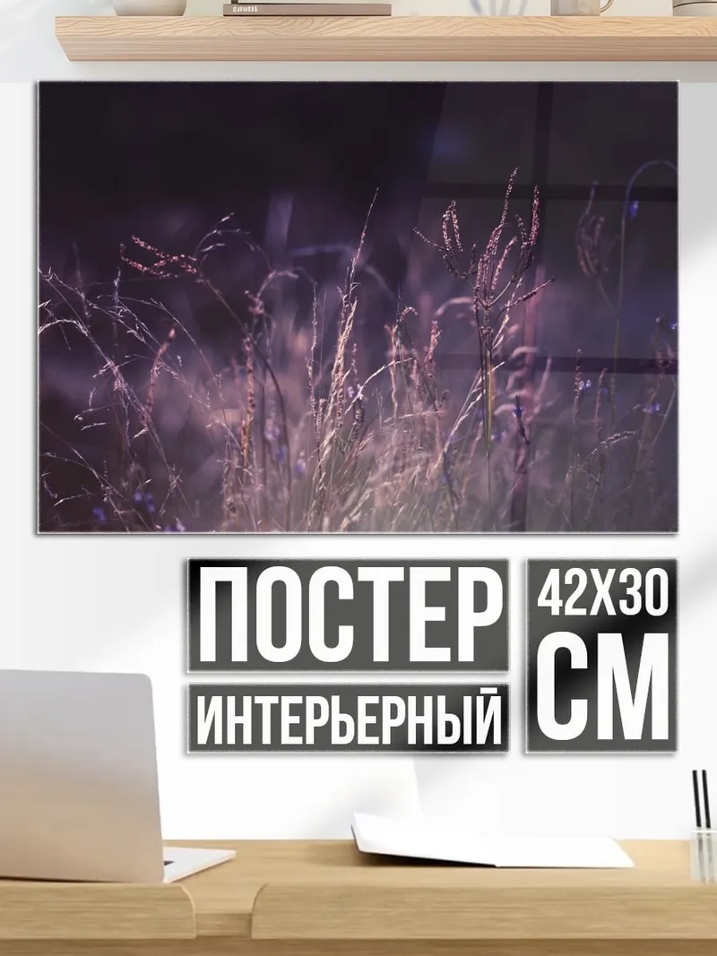 Постер Ночное поле