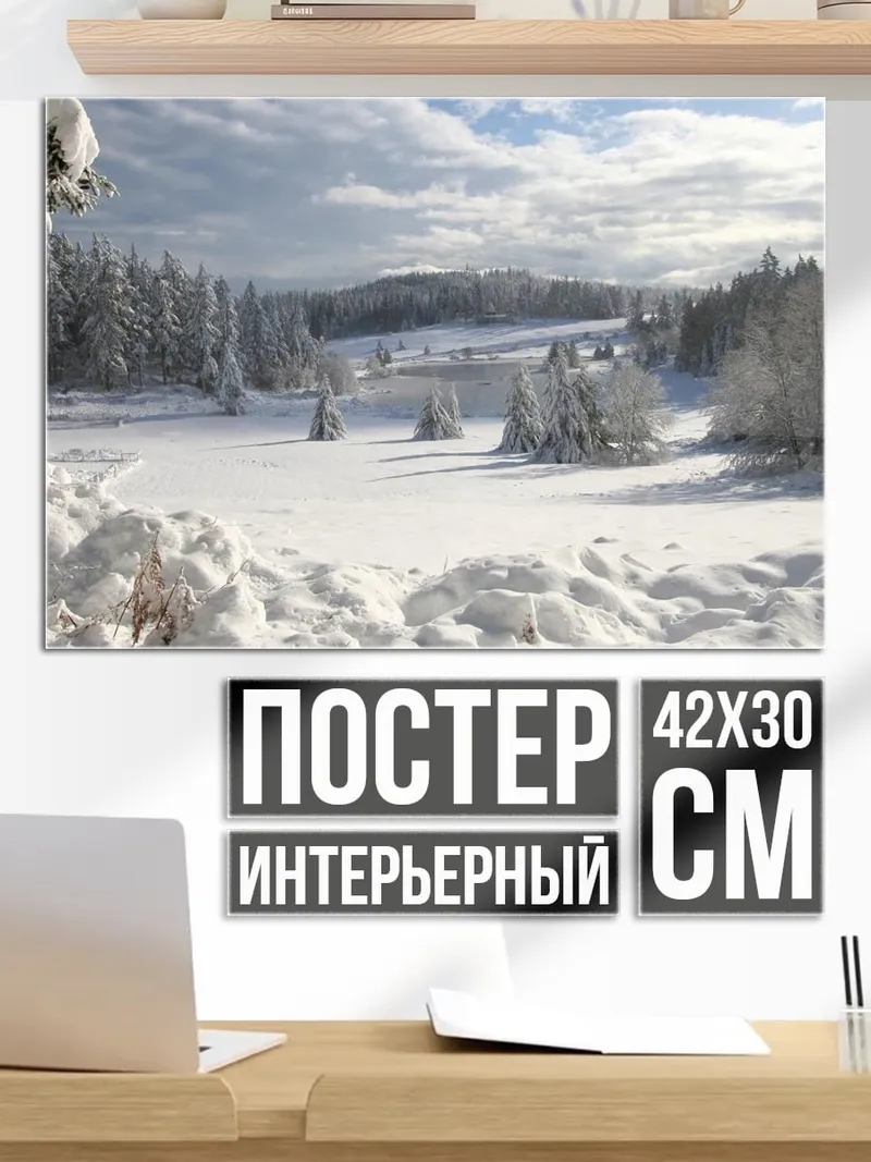 Постер Зимний лес