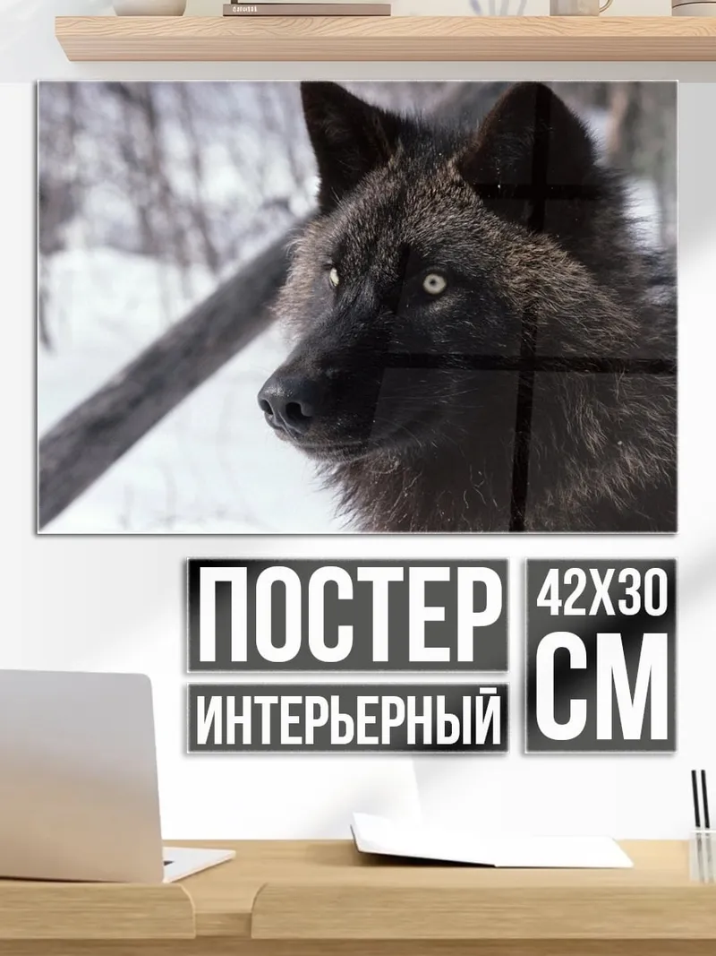 Постер Волк в снегу