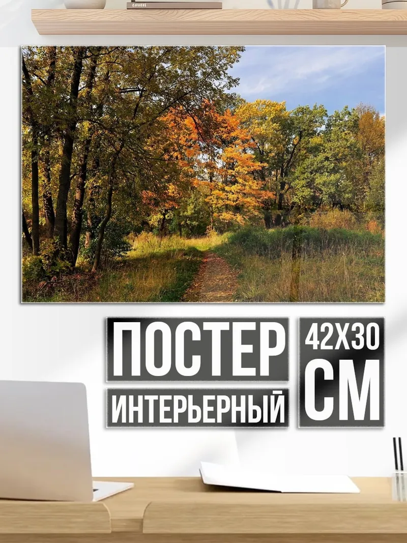 Постер Осенний лес тропа
