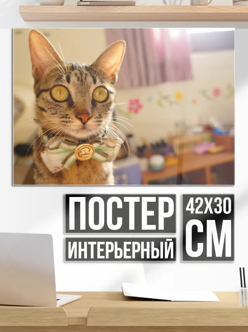 Постер кот с бабочкой