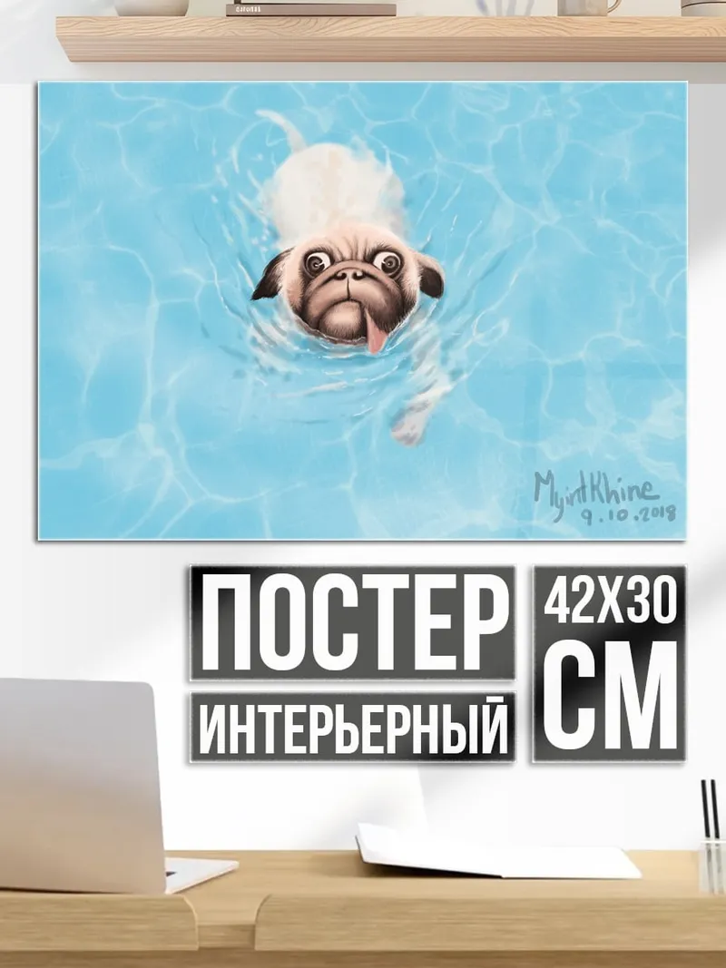 Постер мопс в бассейне