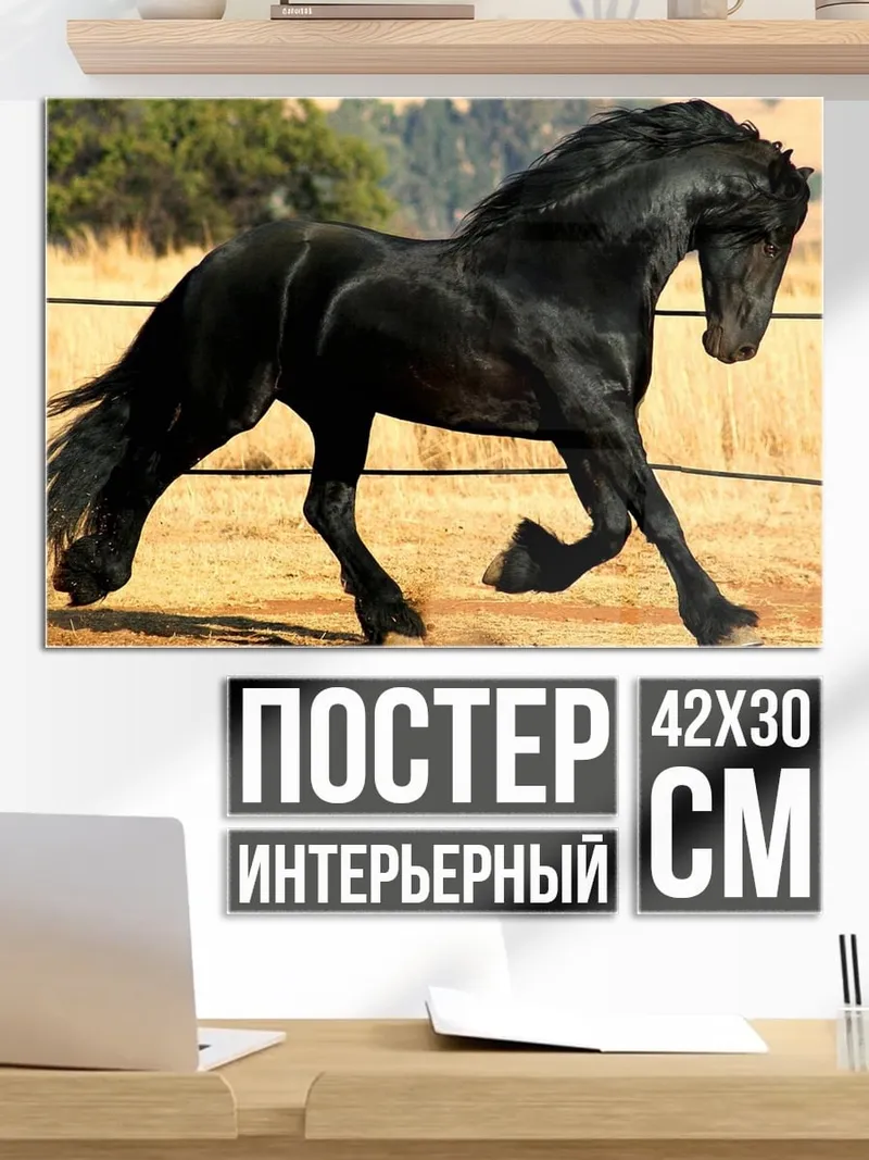 Постер Черный жеребец