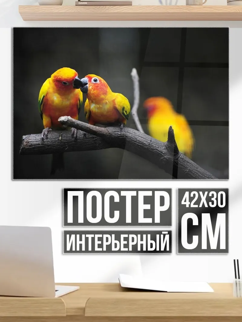 Постер Две птицы