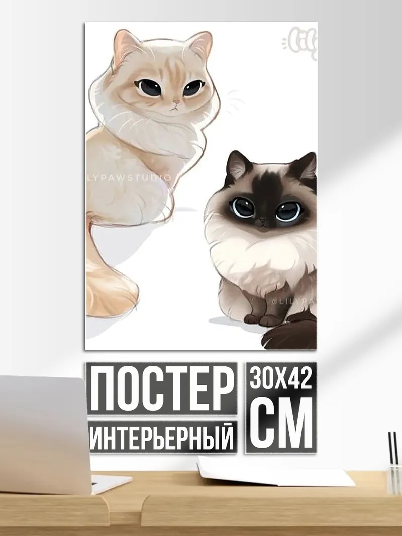 Постер Два милых котика