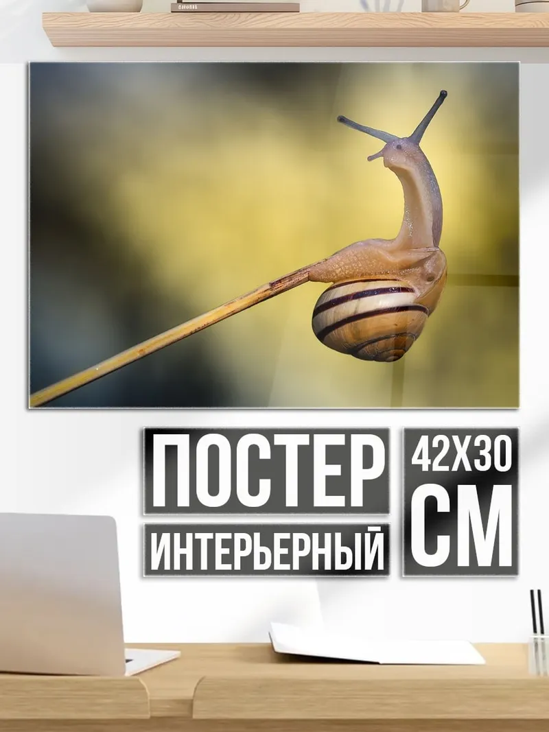 Постер улитка на палке