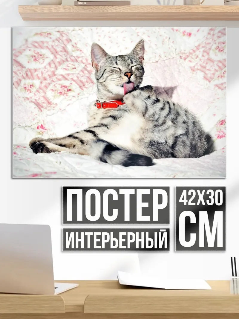 Постер Две кошки