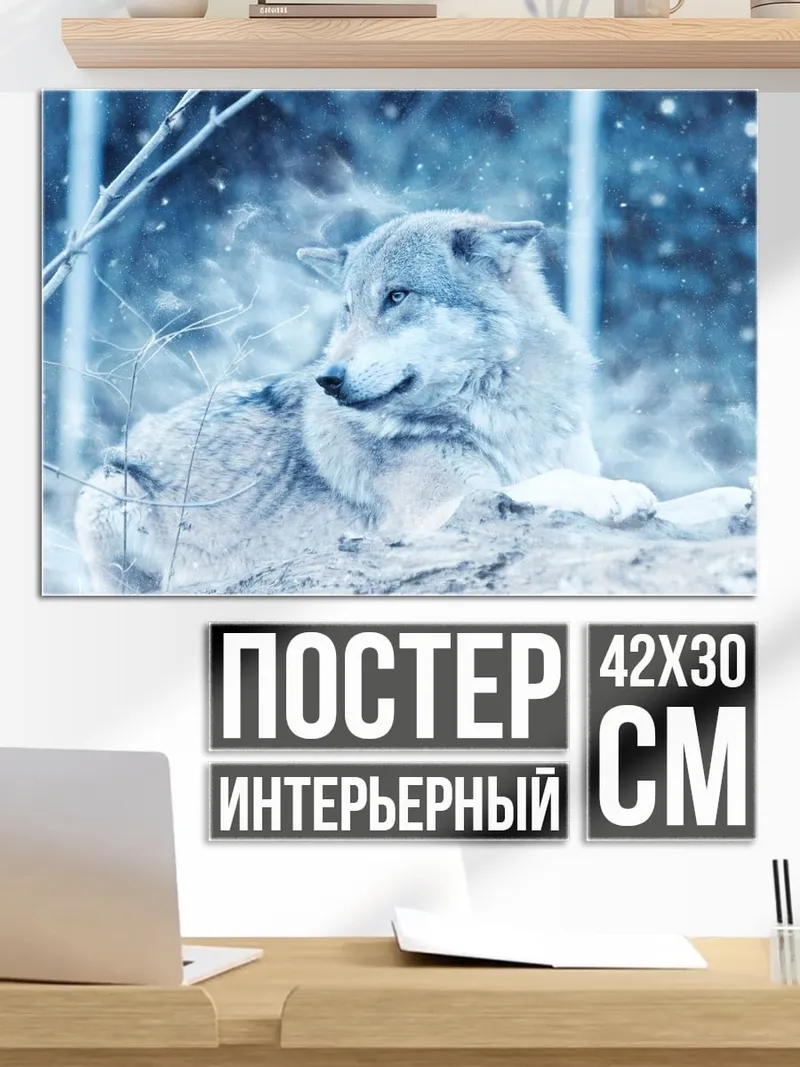 Постер Зимний волк
