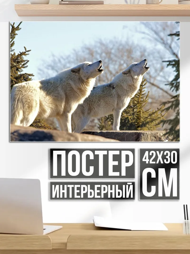 Постер Два воющих волка