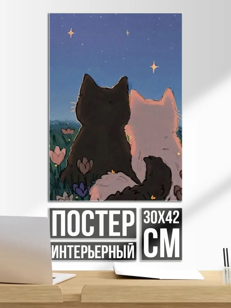 Постер Два кота под звездами