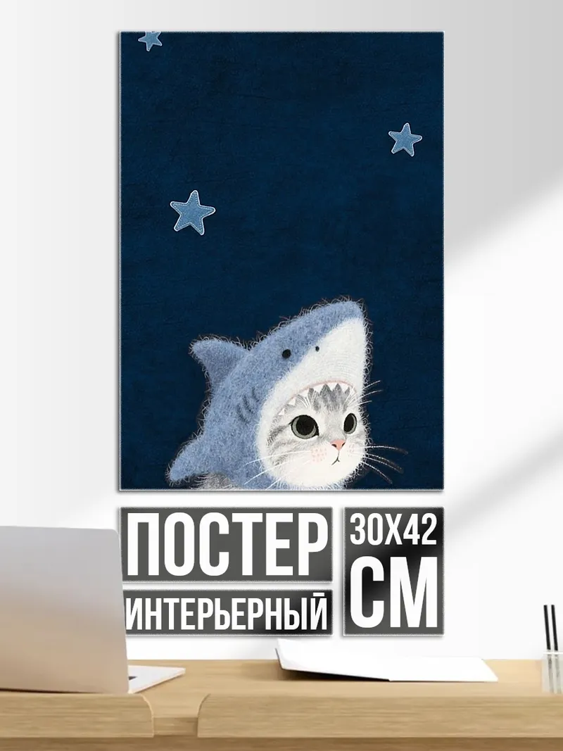 Постер Кот в шапке акулы