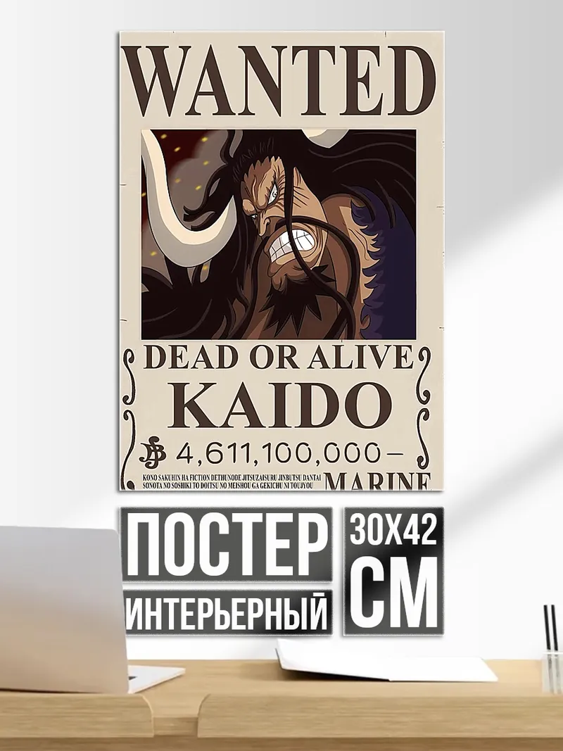 Постер Кайдо морской дозор