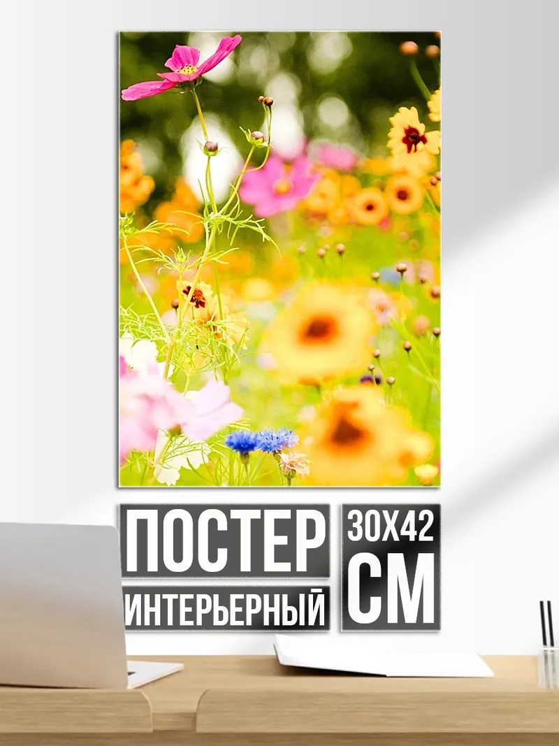 Постер Цветочный луг