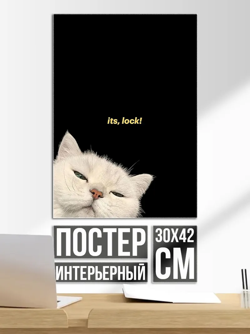 Постер Белый кот с надписью
