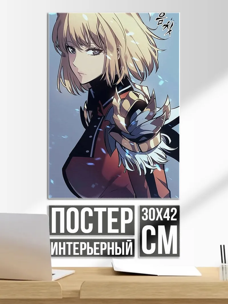 Постер Девушка из Соло Левелинга