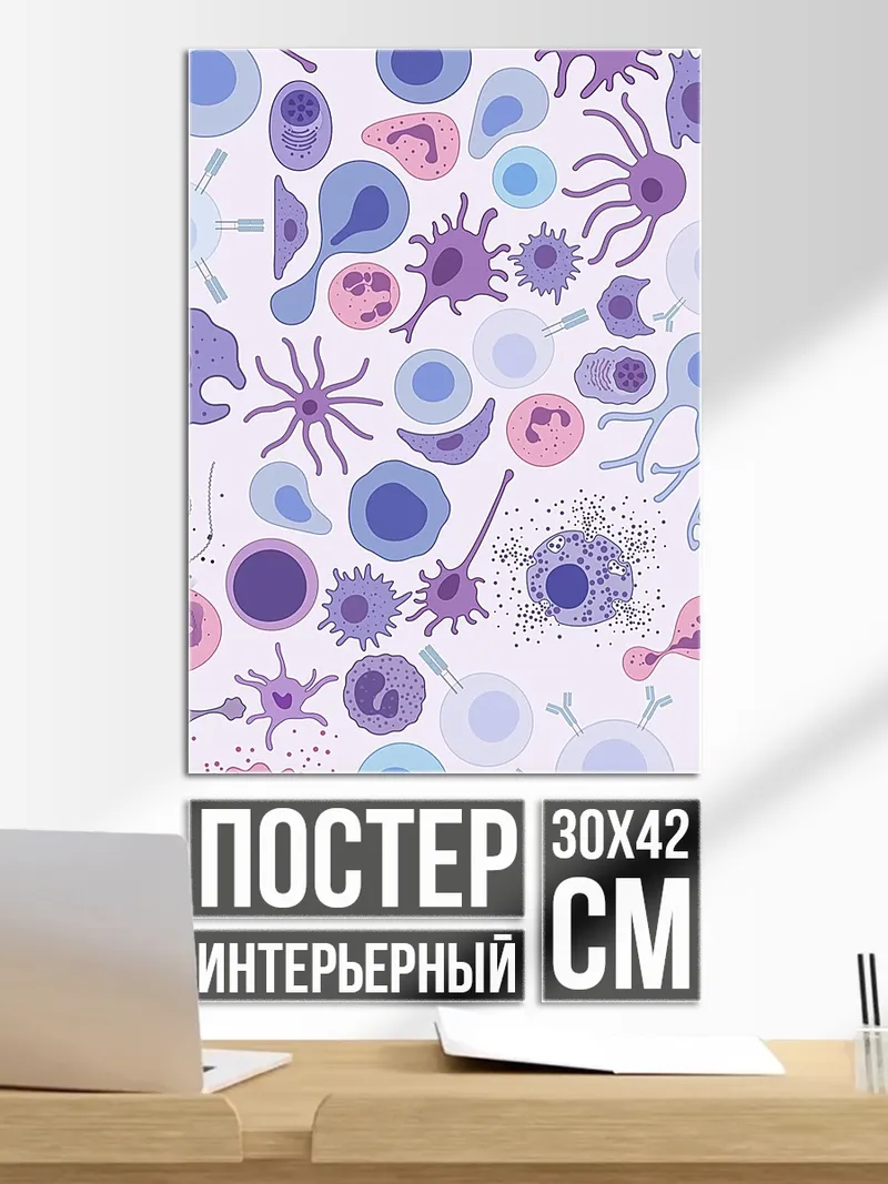 Постер Клетки крови