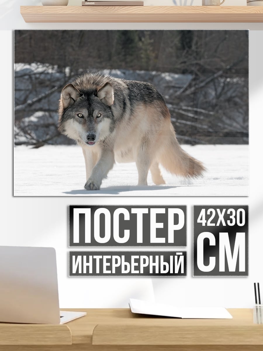 Постер file_error:image file is truncated (1 bytes not processed)