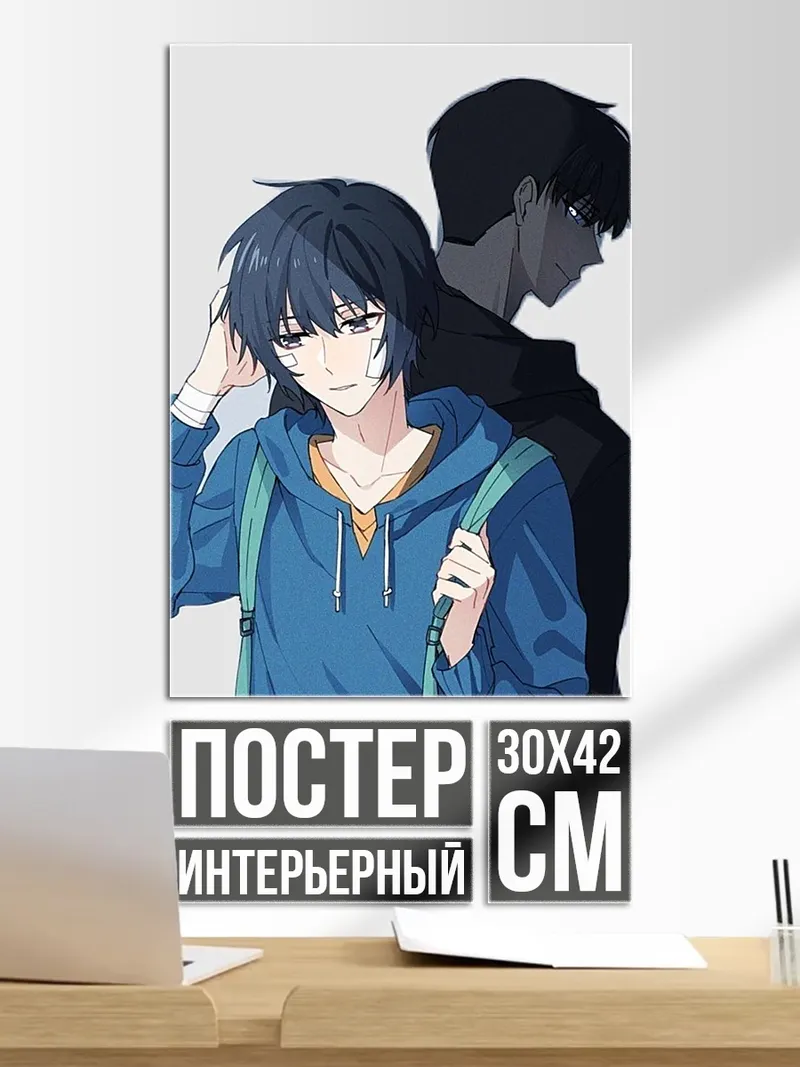 Постер Два брата