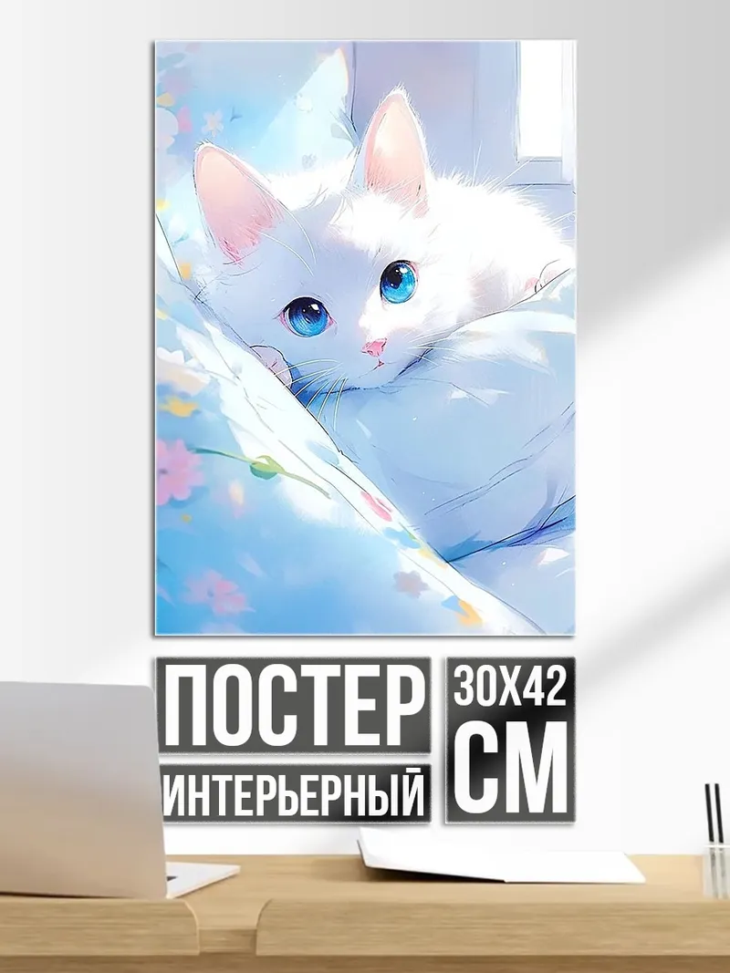 Постер Белый котенок